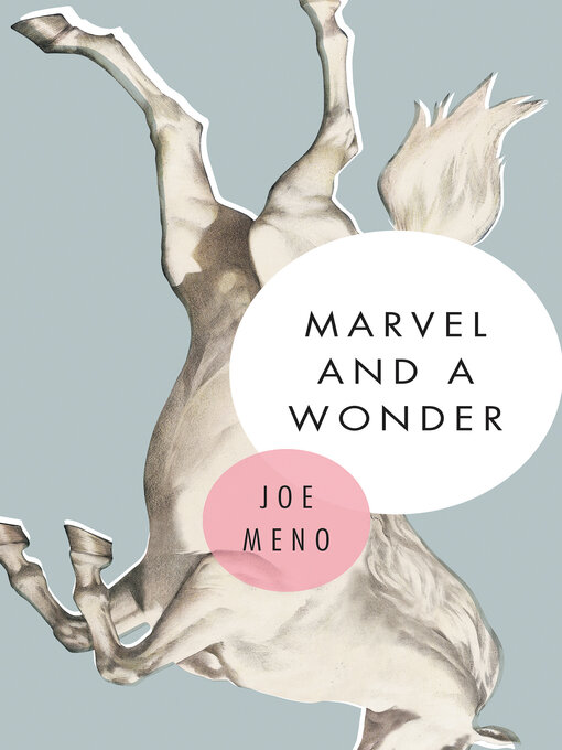 Title details for Marvel and a Wonder by Joe Meno - Available